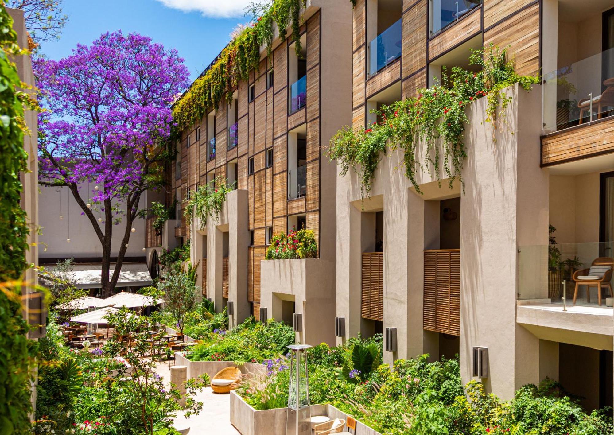 Numu Boutique Hotel, The Unbound Collection By Hyatt San Miguel de Allende Zewnętrze zdjęcie