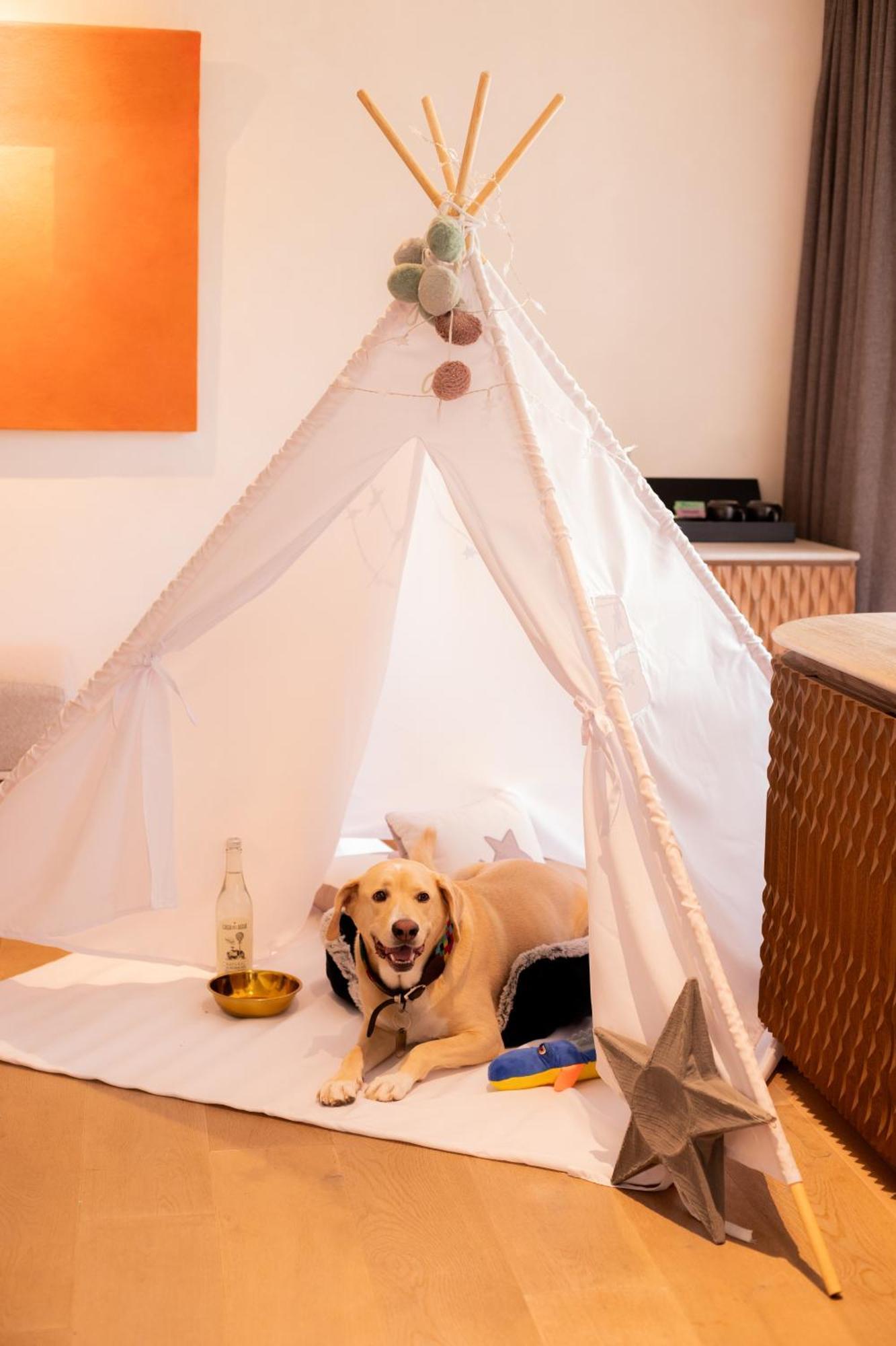 Numu Boutique Hotel, The Unbound Collection By Hyatt San Miguel de Allende Zewnętrze zdjęcie